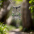 Handmade Crystal Pendant Necklaces | Sterling Silver Chains | Different Styles | Made in the USA
