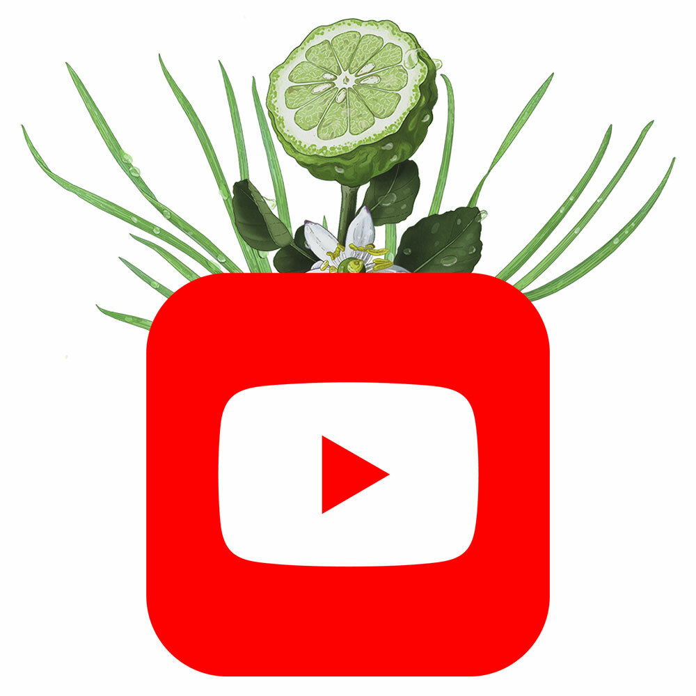 Sprig on YouTube