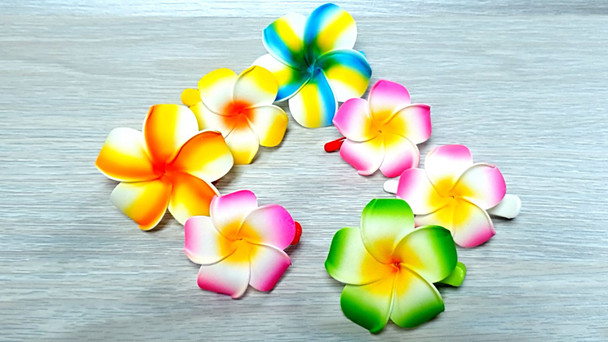 Frangipani Hair Clip (3 Pack)