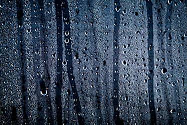 Ways to Lower Your Home Humidity Ways to Lower Your Home Humidity