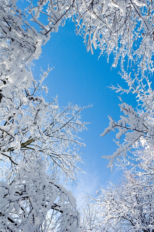 How Mini-Splits Improve Air Quality During Cold Months