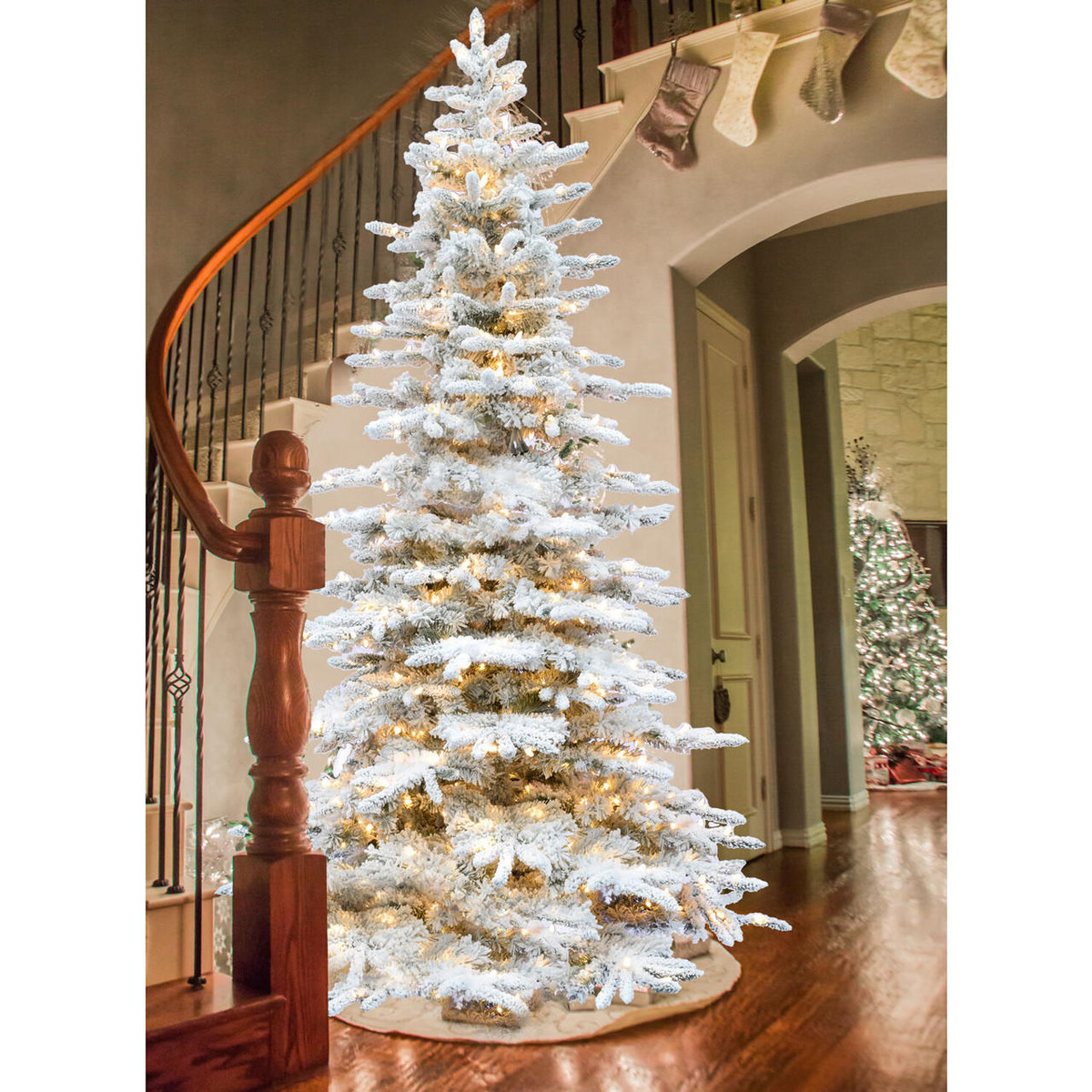 https://cdn11.bigcommerce.com/s-2tgc1eknzf/images/stencil/1200x1200/products/1066/24585/fraser-hill-farm-mountain-pine-flocked-christmas-tree-various-lighting-and-size-6.5-ft-to-12-ft__19488.1699369323.jpg?c=1