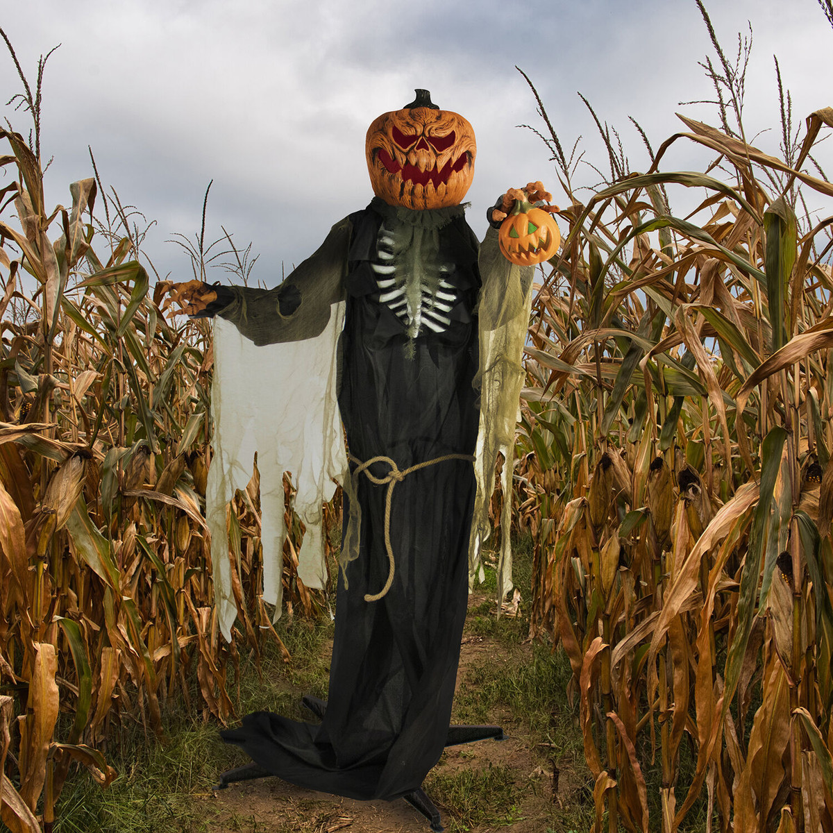 Haunted Hill Farm Life-Size Animatronic Pumpkin Man, Indoor/Outdoor Halloween Decoration, Light-up Colorful Head, Talking, Battery-Operated