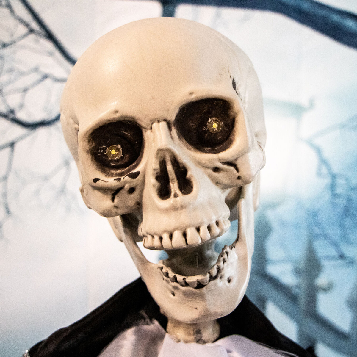Haunted Hill Farm 63-In. Bones the Talking Skeleton Groom, Indoor or Covered Outdoor Halloween Decoration, Light-Up Eyes, Battery-Operated