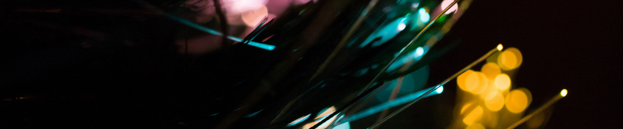 Fiber Optic
