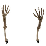 Ground-Breaking Skeleton Stakes, Outdoor Halloween Lawn Decoration