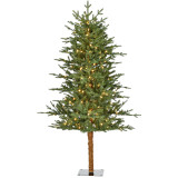 Fraser Hill Farm Green Alpine Porch Accent Tree