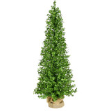 Fraser Hill Farm 3-Ft Boxwood Porch Tree in Burlap Bag