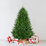 Centerville Pine Christmas Tree with different size and lighting Variations