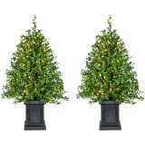 Fraser Hill Farm Boxwood Porch Tree in Black Pot with Warm White Lights, Set of 2