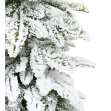 Fraser Hill Farm Snowy Downswept Tree