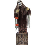 Haunted Hill Farm Morel the Animatronic Skeleton in a Box with Movement, Sounds, and Light-Up Eyes for Scary Halloween Decoration