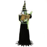 Haunted Hill Farm 6-Ft. Tall Motion-Activated Enchantress Witch by SVI, Premium Talking Halloween Animatronic, Plug-In