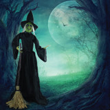5.9-Ft. Animatronic Witch w/ Broomstick, Indoor or Covered Outdoor Halloween Decoration, Talking, Poseable, Battery-Operated