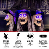 Haunted Hill Farm 3-Piece Witch Lawn Stakes with Flashing Eyes and Spooky Sounds, Outdoor Halloween Decoration, Battery Operated