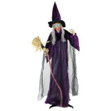 6-Ft. Animatronic Witch with Broomstick, Lights and Sound, Indoor/Covered Outdoor Halloween Decoration