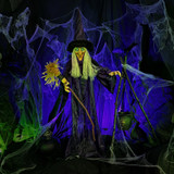 6-Ft. Animatronic Witch with Broomstick, Lights and Sound, Indoor/Covered Outdoor Halloween Decoration