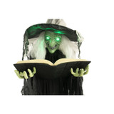 5.8-Ft. Poseable Witch with Spell Book, Lights and Sound, Indoor/Covered Outdoor Halloween Decoration