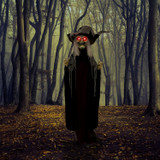 6.3-Ft. Poseable Witch with Lights and Sound, Indoor/Covered Outdoor Halloween Decoration