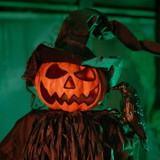 6-Ft. Standing Scarecrow Animatronic with Animated Crow