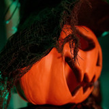 6-Ft. Standing Scarecrow Animatronic with Animated Crow