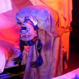4.6-Ft. Head Spinning Beatrix Animatronic