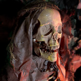 5.2-Ft. Standing Sonic Reaper Animatronic