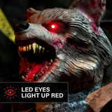 2-Ft. Zombie Raccoon Animatronic