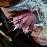 2-Ft. Zombie Raccoon Animatronic