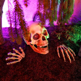 1.3-Ft. Giant Talking Skeleton with Hands