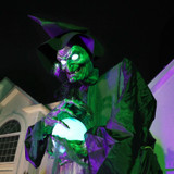 9.8-Ft. Towering Witch with Magic Ball Animatronic