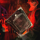 7-Ft. Motion-Sensor Soul Harvester Halloween Animatronic by Tekky