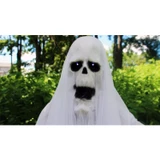 6-Ft. Animatronic Ghost with Lights and Sound, Indoor or Covered Outdoor Halloween Decoration