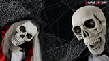 9 Free Zoom Halloween Backgrounds You Need Now