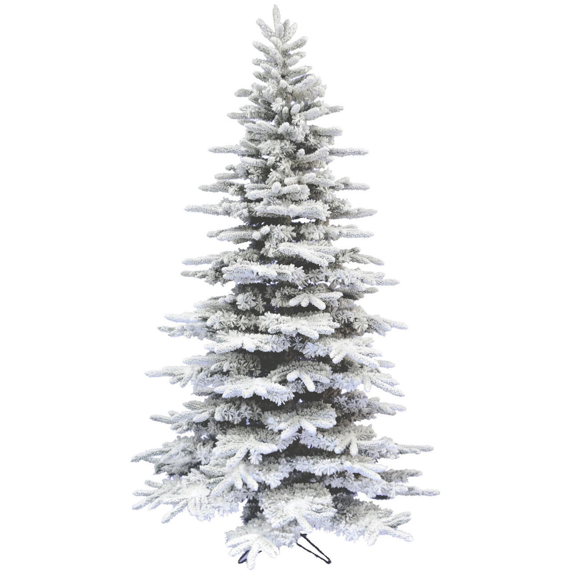 Mountain Pine Flocked Christmas Tree, Various Lighting and Size (10 ft ...