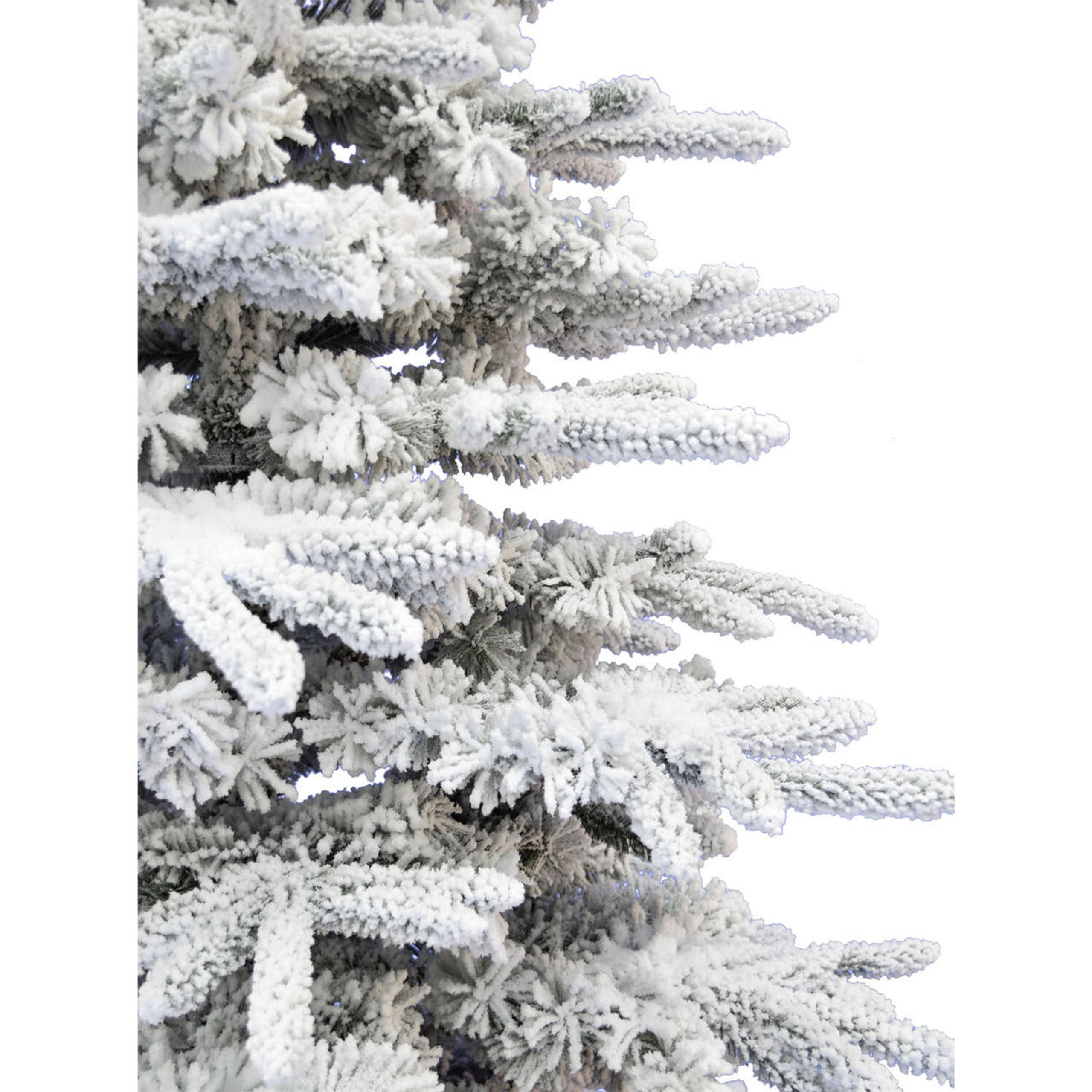 Mountain Pine Flocked Christmas Tree, Various Lighting and Size (10 ft ...