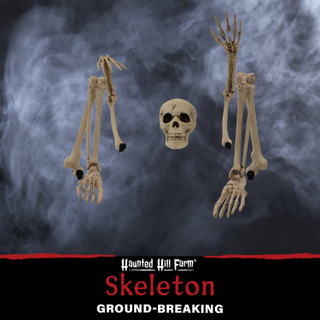 Ground-Breaking Skeleton Stakes, Outdoor Halloween Lawn Decoration
