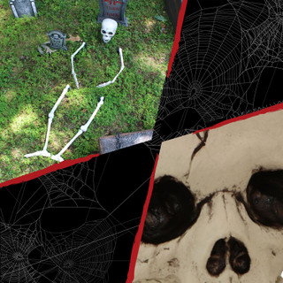 Ground-Breaking Skeleton Stakes, Outdoor Halloween Lawn Decoration