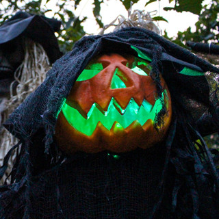 6-Ft. Life-Size Poseable Pumpkin Witch with Lights and Sound, Indoor/Covered Outdoor Halloween Decoration