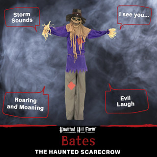 6-Ft. Poseable Scarecrow with Lights and Sound, Indoor or Covered Outdoor Halloween Decoration