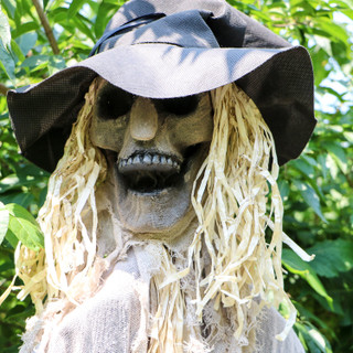 6-Ft. Hunter the Standing Scarecrow Prop, Indoor or Covered Outdoor Halloween Decoration, Poseable