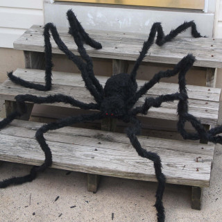 Haunted Hill Farm 6-ft Black Spider, Poseable