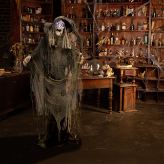 5.8-Ft. Animatronic Witch with Lights and Sound, Indoor/Covered Outdoor Halloween Decoration