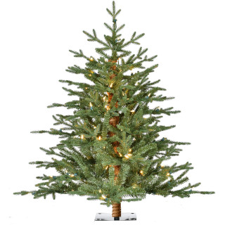 Fraser Hill Farm Green Alpine Porch Accent Tree