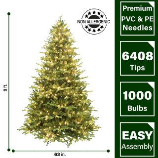 Fraser Fir - Firever Pines Christmas Tree Farm