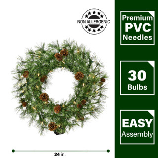 Fraser Hill Farm 24-in Wreath with Pinecones and Warm White LED Lights