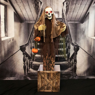 Haunted Hill Farm Morel the Animatronic Skeleton in a Box with Movement, Sounds, and Light-Up Eyes for Scary Halloween Decoration