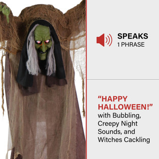 4.9 Ft. Animatronic Talking Hunchback Witch with Movement and Lights for Scary Halloween Decoration