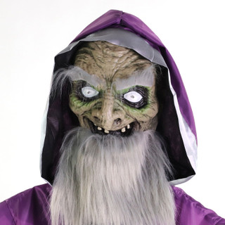 Haunted Hill Farm The Great Zoltan Animatronic Talking Wizard with Movement and Light-Up Crystal Ball for Scary Halloween Decoration