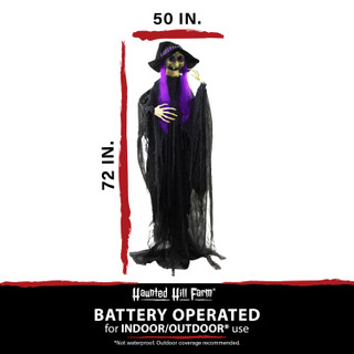 Haunted Hill Farm 6-Ft. Belladonna the Purple-Haired Witch with Animated Eyes, Indoor or Covered Outdoor Halloween Decoration, Battery Operated